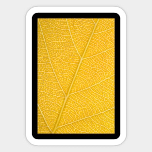 Autumn Leaf Sticker